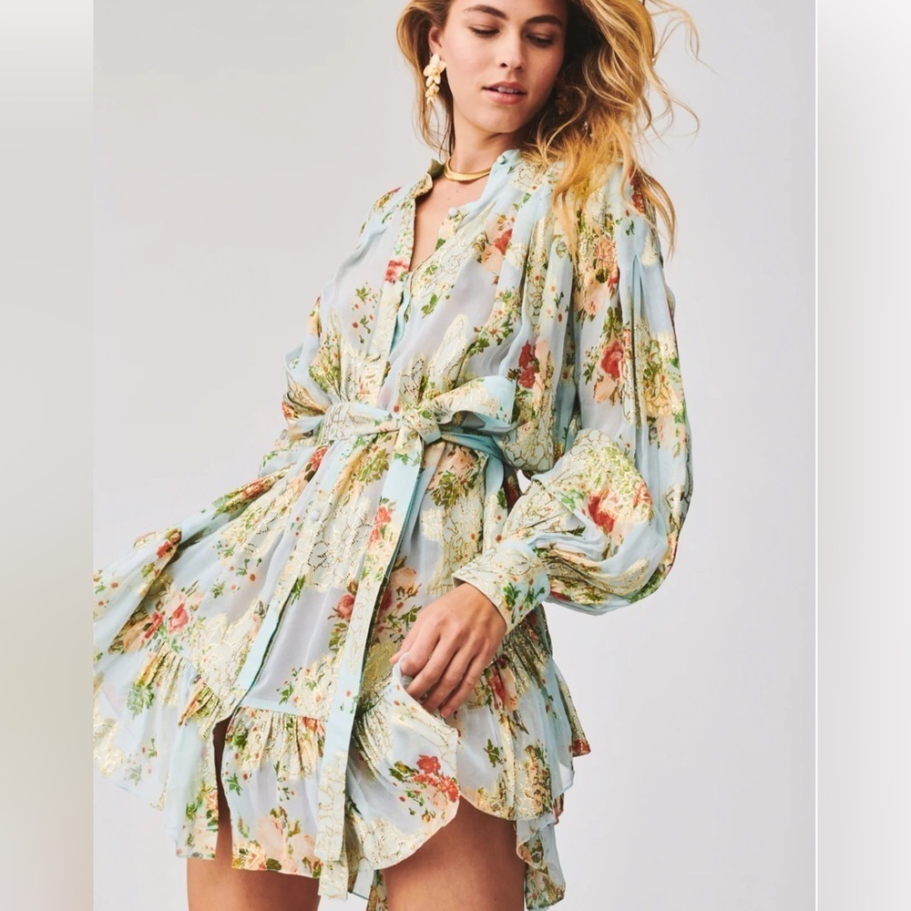 HEMANT & NANDITA Livia Floral Whimsical Sparkly Chiffon Dress with Slip XSmall - Picture 2 of 16